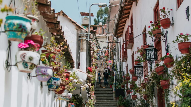 Cusco Historical Walking Tour & San Pedro Market