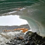 Quelccaya Ice Cap Glacier Trek 2D/1N