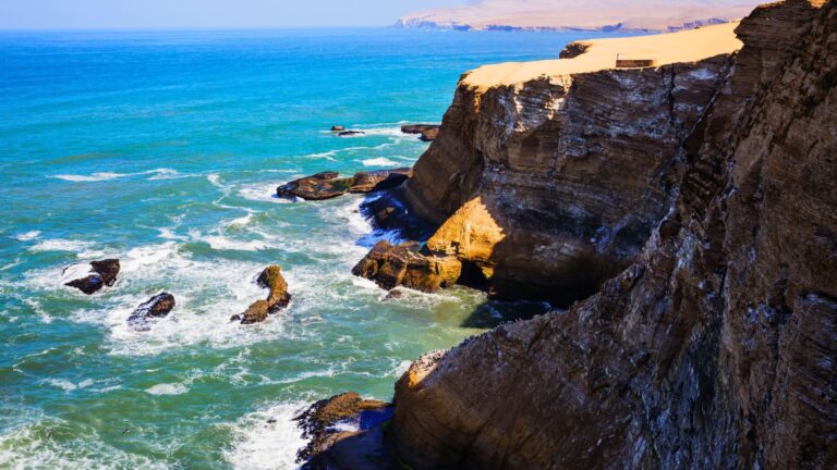 Tour Islas Ballestas y Reserva Nacional de Paracas: El Galápagos Peruano