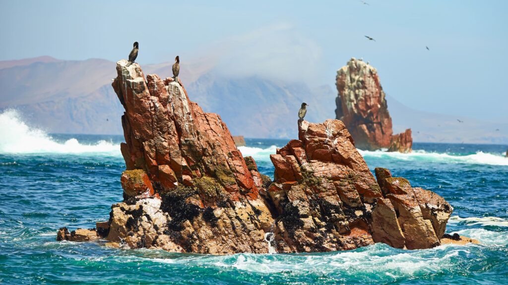 Islas Ballestas & Reserva de Paracas