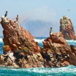 Tour Islas Ballestas y Reserva Nacional de Paracas: El Galápagos Peruano