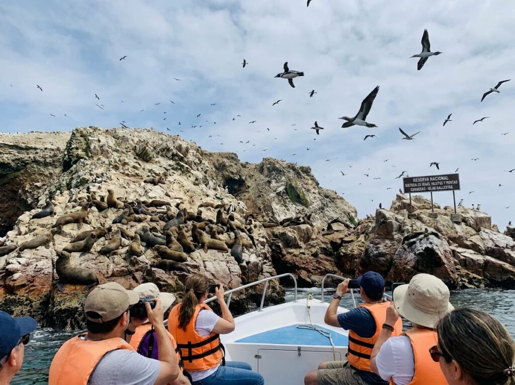 Islas Ballestas & Reserva de Paracas