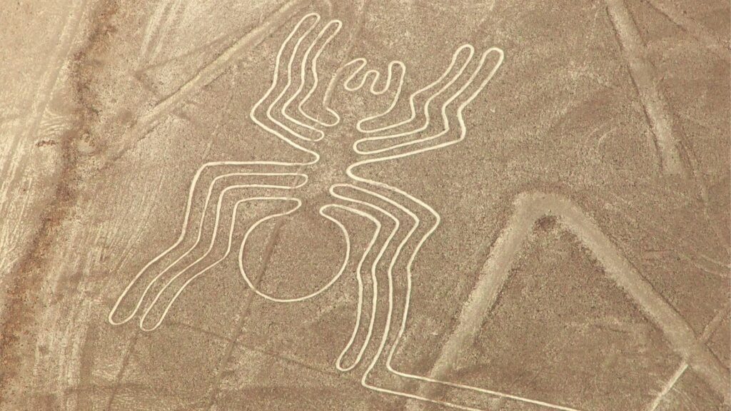 Vuelo Sobre las Líneas de Nazca desde Ica