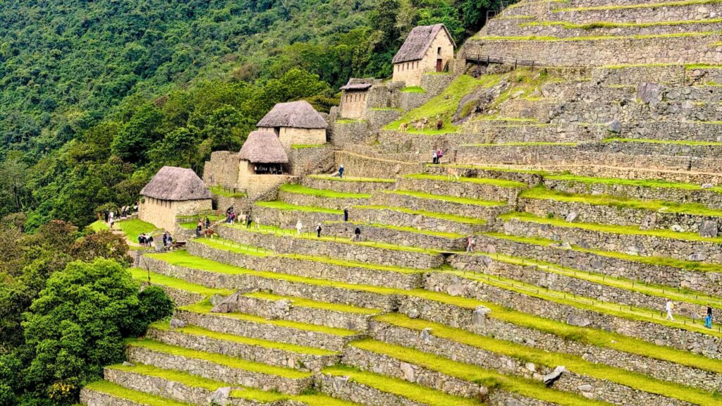 Machu Picchu Full Day en Tren Vistadome